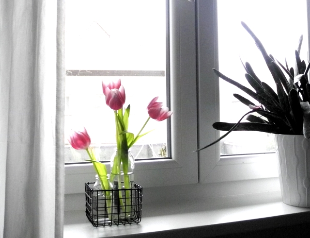 kleine Dinge Blumen/raindropsandsprinkles2